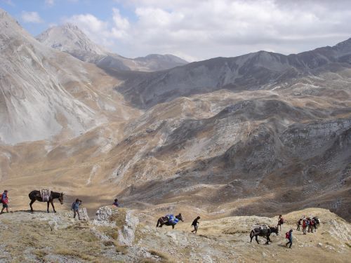 trekking con i muli-27.jpg